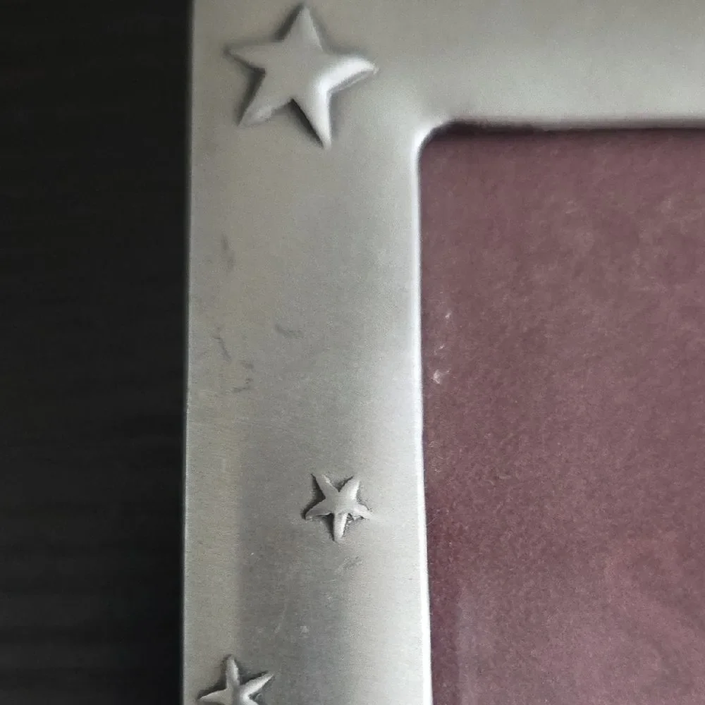 Seagull charming silver
